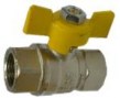 GAS VALVES55